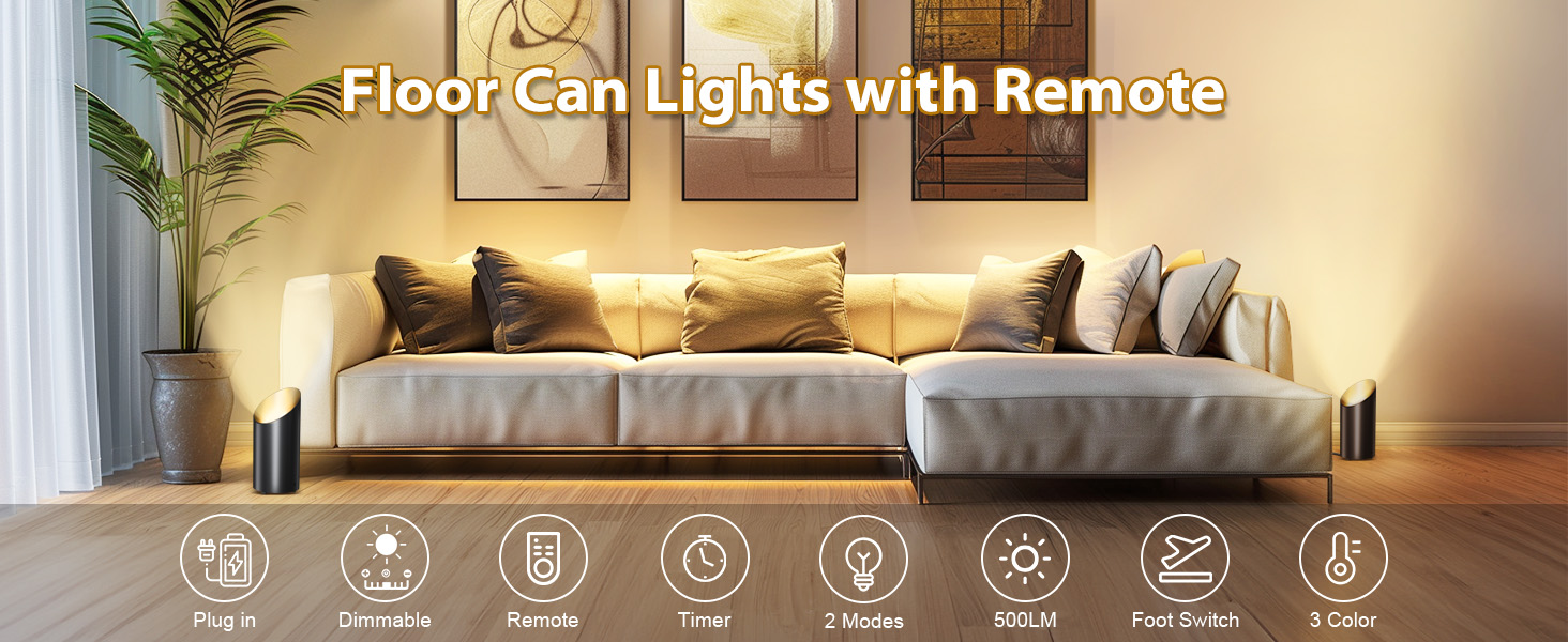 Floor Can Lights